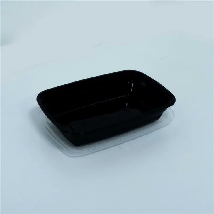 Lunch Boxes with Lids for Kids - Perfect for School and Daycare (6)