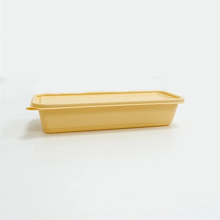 Portable Biodegradable Lunch Boxes - Designed for On-the-Go (5)