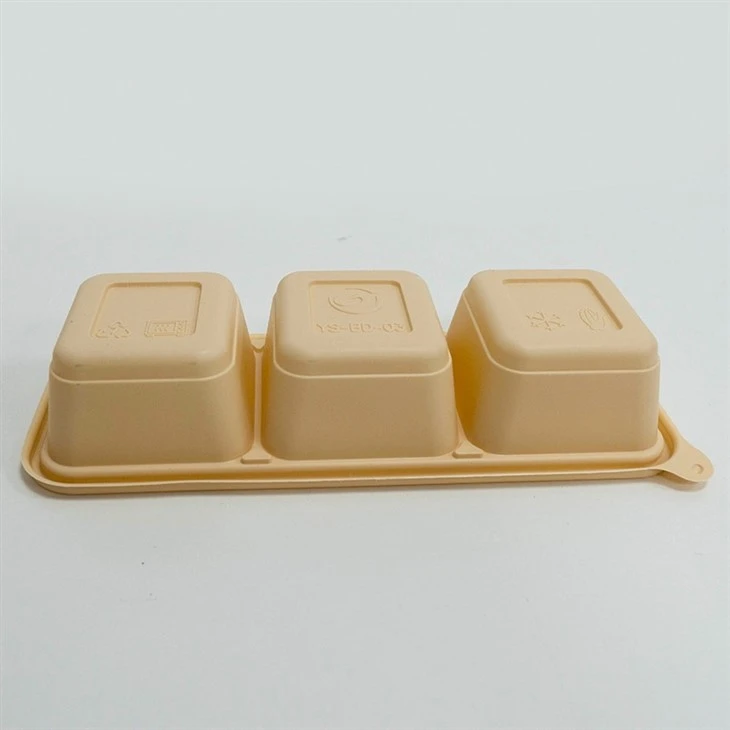Portable Biodegradable Lunch Boxes - Designed for On-the-Go (4)